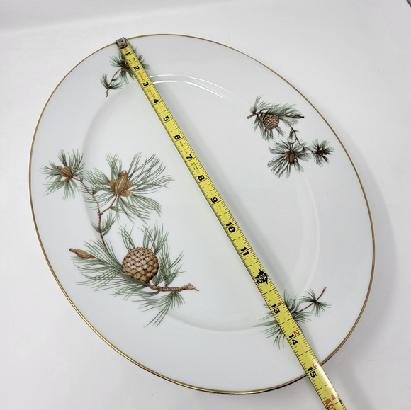 Rosenthal Germany Pine Needles Selb-Plossberg Aida Large Oval 15" Platter Dish - Picture 5 of 6